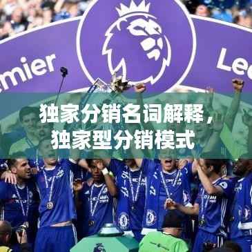 独家分销名词解释,独家型分销模式