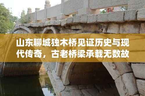 山东聊城独木桥见证历史与现代传奇，古老桥梁承载无数故事