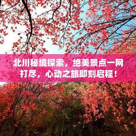 北川秘境探索，绝美景点一网打尽，心动之旅即刻启程！