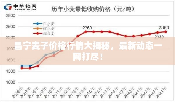 昌宁麦子价格行情大揭秘,最新动态一网打尽!