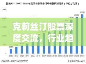 克莉丝汀股票深度交流,行业趋势解析与投资策略探讨
