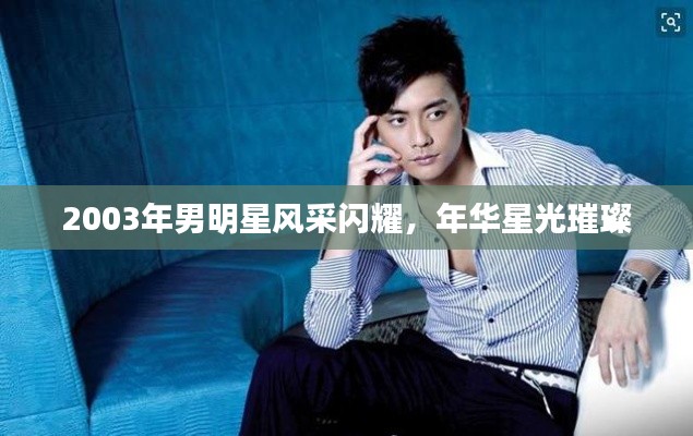 2003年男明星风采闪耀,年华星光璀璨